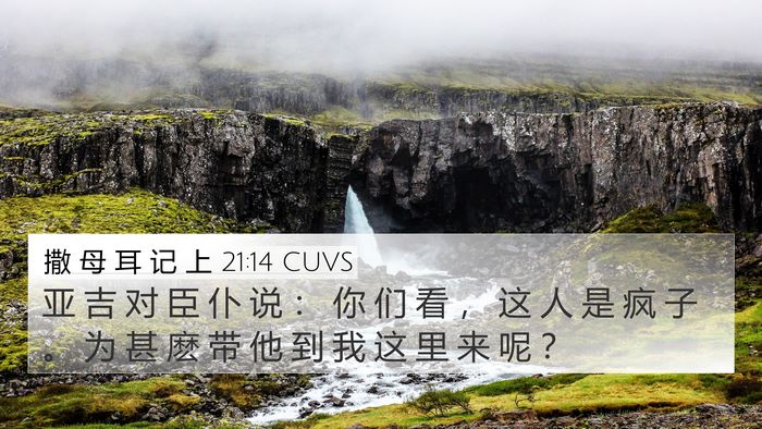 撒 母 耳 记 上 21:14 CUVS 4K Wallpaper - 亚 吉 对 臣 仆 说 ： 你 们 看 ， 这 - 4K Wallpaper Bible Verse