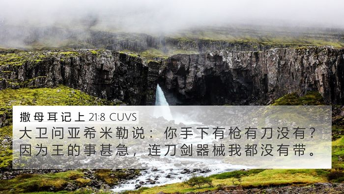 撒 母 耳 记 上 21:8 CUVS Bible Verse Image