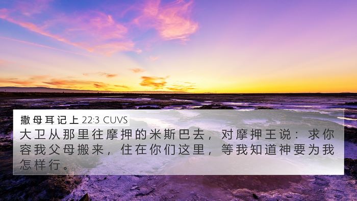 撒 母 耳 记 上 22:3 CUVS 4K Wallpaper - 大 卫 从 那 里 往 摩 押 的 米 斯 巴 - 4K Wallpaper Bible Verse