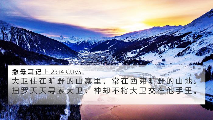 撒 母 耳 记 上 23:14 CUVS Bible Verse Image