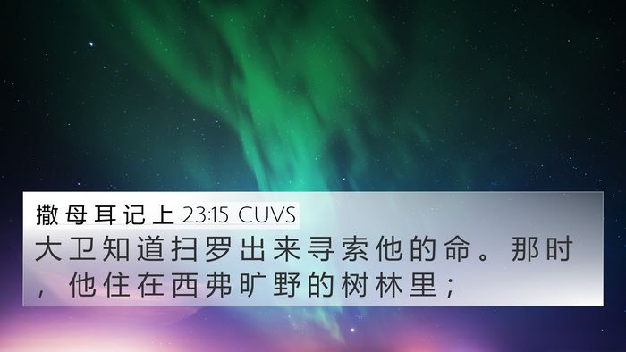 撒 母 耳 记 上 23:15 CUVS Bible Verse Image