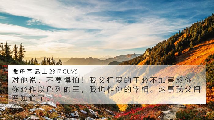 撒 母 耳 记 上 23:17 CUVS Bible Verse Image