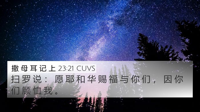 撒 母 耳 记 上 23:21 CUVS Bible Verse Image