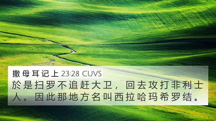 撒 母 耳 记 上 23:28 CUVS 4K Wallpaper - 於 是 扫 罗 不 追 赶 大 卫 ， 回 去 - 4K Wallpaper Bible Verse