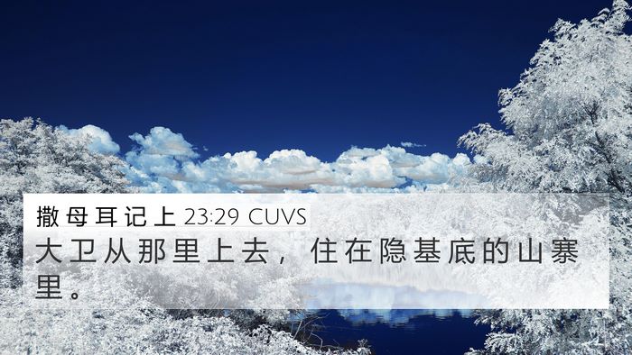 撒 母 耳 记 上 23:29 CUVS Bible Verse Image