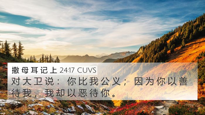 撒 母 耳 记 上 24:17 CUVS Bible Verse Image