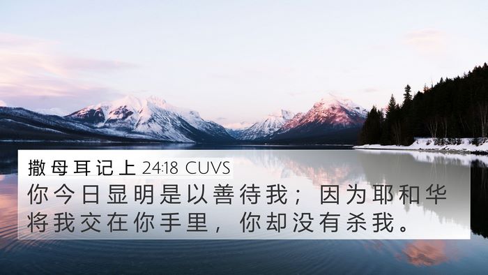 撒 母 耳 记 上 24:18 CUVS Bible Verse Image