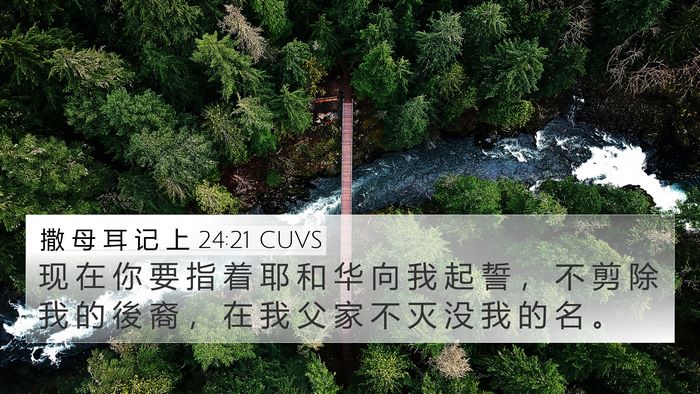 撒 母 耳 记 上 24:21 CUVS Bible Verse Image