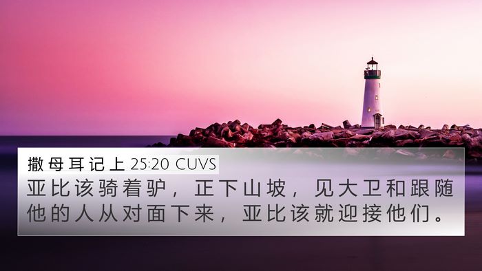 撒 母 耳 记 上 25:20 CUVS 4K Wallpaper - 亚 比 该 骑 着 驴 ， 正 下 山 坡 ， - 4K Wallpaper Bible Verse