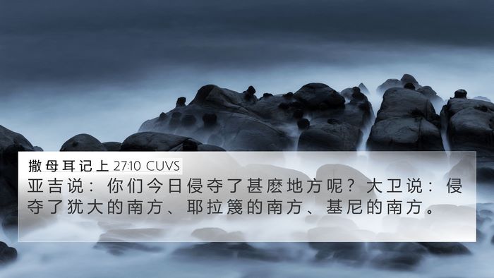 撒 母 耳 记 上 27:10 CUVS Bible Verse Image