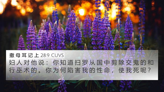 撒 母 耳 记 上 28:9 CUVS Bible Verse Image