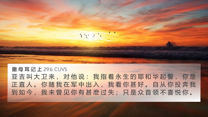 撒 母 耳 记 上 29:6 CUVS Bible Verse Image