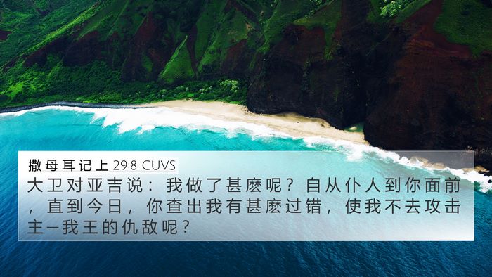 撒 母 耳 记 上 29:8 CUVS Bible Verse Image