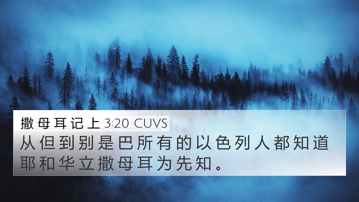 撒 母 耳 记 上 3:20 CUVS Bible Verse Image