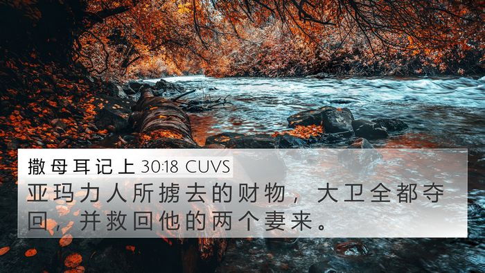 撒 母 耳 记 上 30:18 CUVS Bible Verse Image
