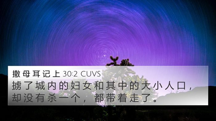 撒 母 耳 记 上 30:2 CUVS Bible Verse Image