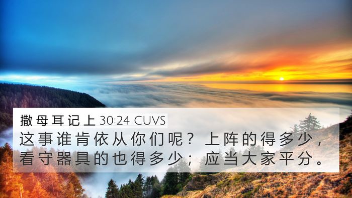 撒 母 耳 记 上 30:24 CUVS Bible Verse Image