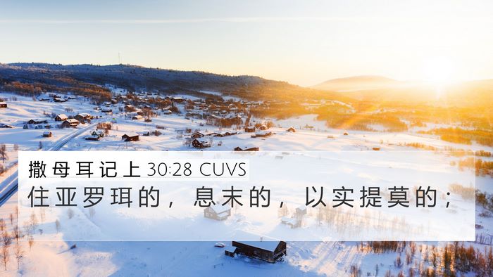 撒 母 耳 记 上 30:28 CUVS Bible Verse Image