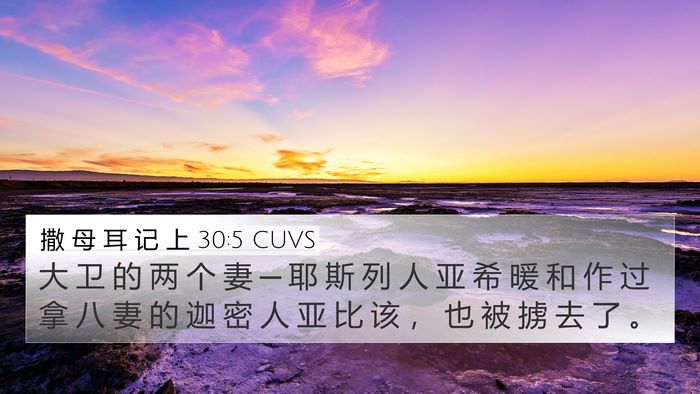 撒 母 耳 记 上 30:5 CUVS Bible Verse Image