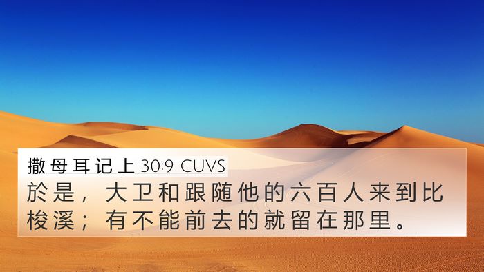 撒 母 耳 记 上 30:9 CUVS Bible Verse Image