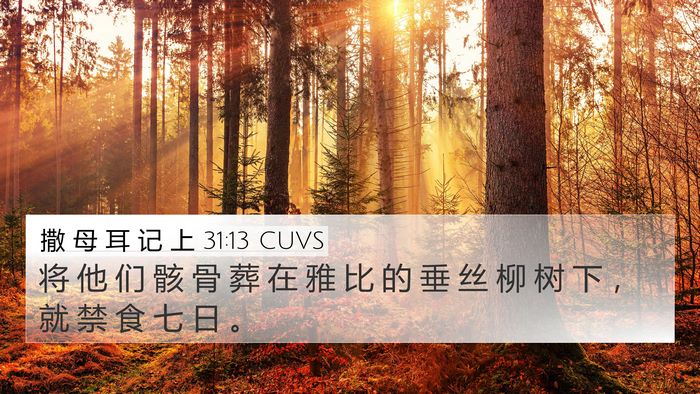 撒 母 耳 记 上 31:13 CUVS 4K Wallpaper - 将 他 们 骸 骨 葬 在 雅 比 的 垂 丝 - 4K Wallpaper Bible Verse