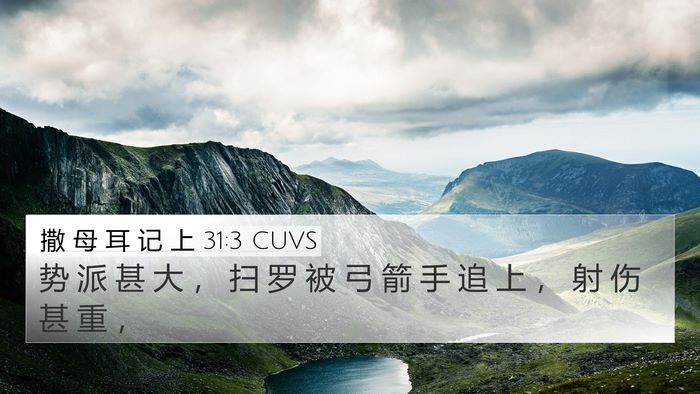 撒 母 耳 记 上 31:3 CUVS Bible Verse Image