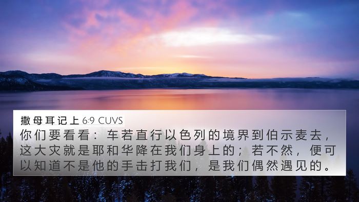 撒 母 耳 记 上 6:9 CUVS Bible Verse Image