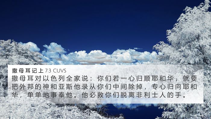 撒 母 耳 记 上 7:3 CUVS Bible Verse Image
