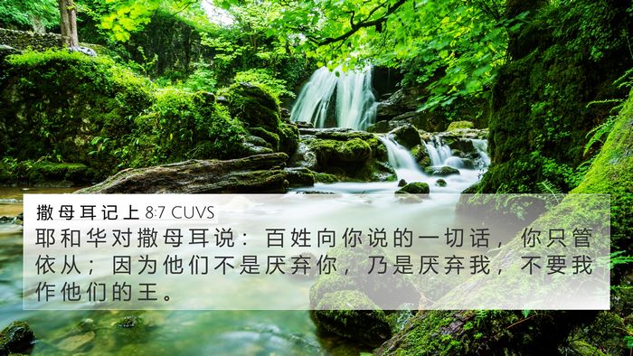 撒 母 耳 记 上 8:7 CUVS Bible Verse Image