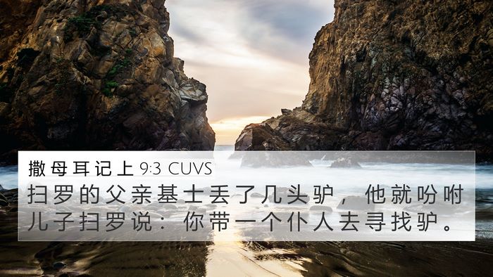 撒 母 耳 记 上 9:3 CUVS Bible Verse Image
