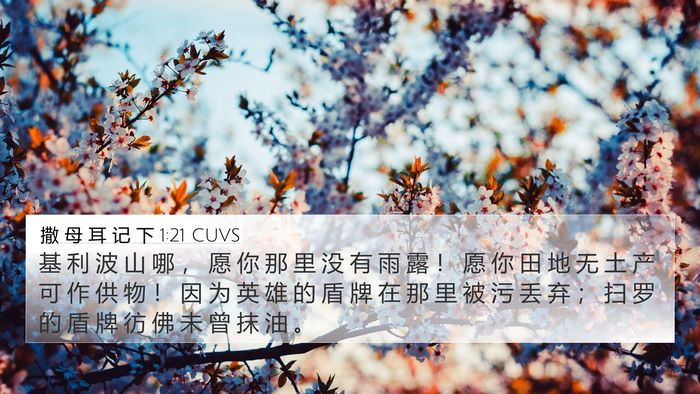 撒 母 耳 记 下 1:21 CUVS Bible Verse Image