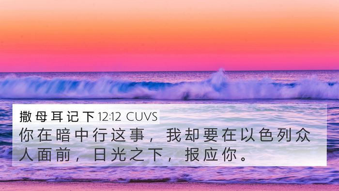 撒 母 耳 记 下 12:12 CUVS 4K Wallpaper - 你 在 暗 中 行 这 事 ， 我 却 要 在 - 4K Wallpaper Bible Verse