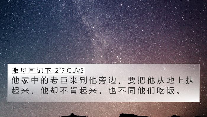 撒 母 耳 记 下 12:17 CUVS Bible Verse Image