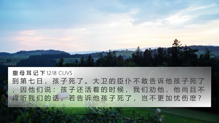 撒 母 耳 记 下 12:18 CUVS 4K Wallpaper - 到 第 七 日 ， 孩 子 死 了 。 大 卫 - 4K Wallpaper Bible Verse