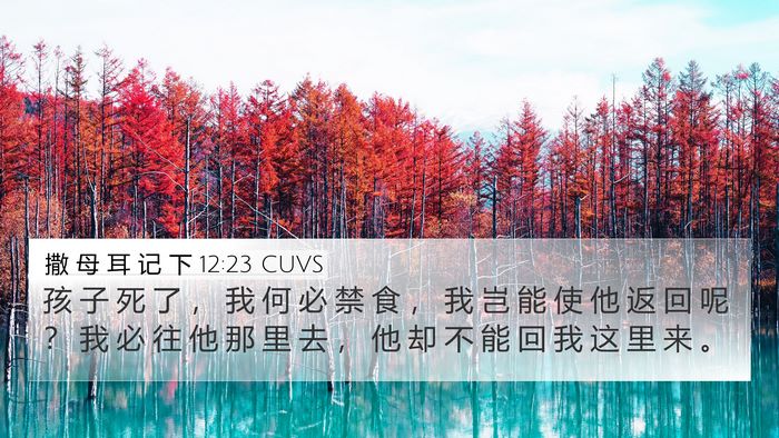 撒 母 耳 记 下 12:23 CUVS 4K Wallpaper - 孩 子 死 了 ， 我 何 必 禁 食 ， 我 - 4K Wallpaper Bible Verse