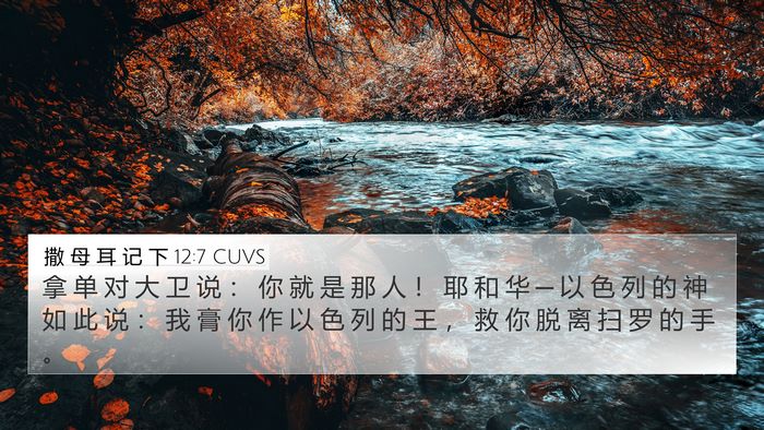 撒 母 耳 记 下 12:7 CUVS Bible Verse Image