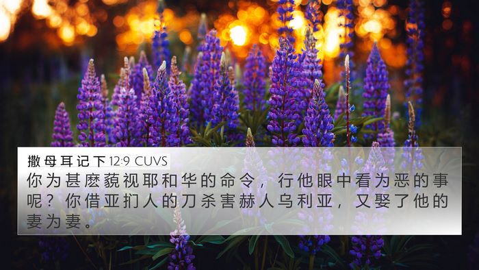撒 母 耳 记 下 12:9 CUVS Bible Verse Image