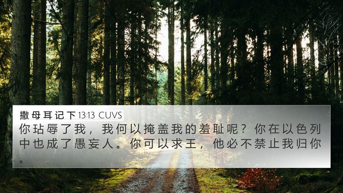 撒 母 耳 记 下 13:13 CUVS 4K Wallpaper - 你 玷 辱 了 我 ， 我 何 以 掩 盖 我 - 4K Wallpaper Bible Verse