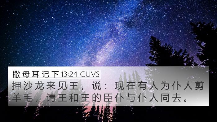 撒 母 耳 记 下 13:24 CUVS Bible Verse Image