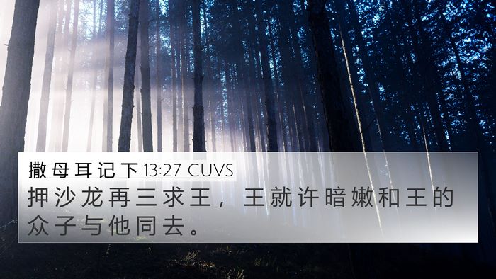 撒 母 耳 记 下 13:27 CUVS 4K Wallpaper - 押 沙 龙 再 三 求 王 ， 王 就 许 暗 - 4K Wallpaper Bible Verse
