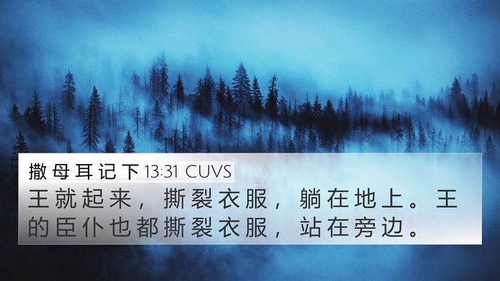 撒 母 耳 记 下 13:31 CUVS Bible Verse Image