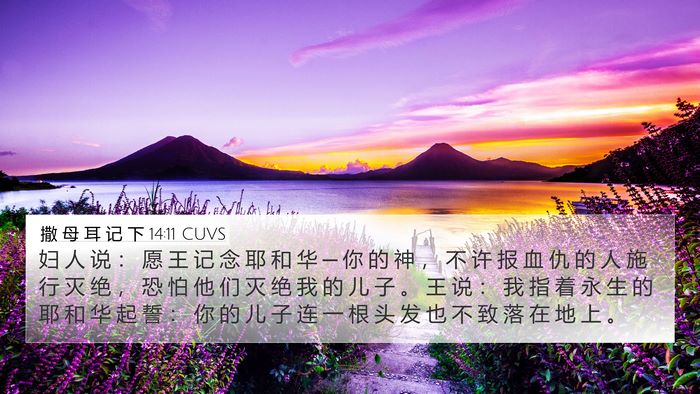 撒 母 耳 记 下 14:11 CUVS 4K Wallpaper - 妇 人 说 ： 愿 王 记 念 耶 和 华 ─ - 4K Wallpaper Bible Verse