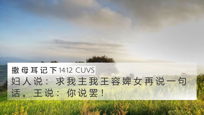 撒 母 耳 记 下 14:12 CUVS Bible Verse Image