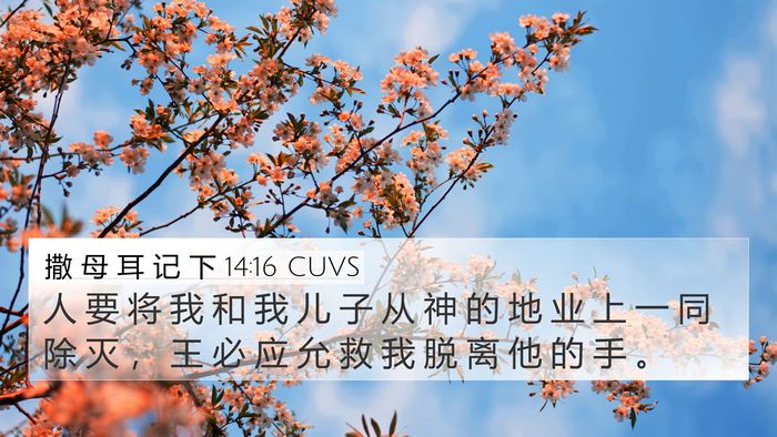 撒 母 耳 记 下 14:16 CUVS 4K Wallpaper - 人 要 将 我 和 我 儿 子 从 神 的 地 - 4K Wallpaper Bible Verse
