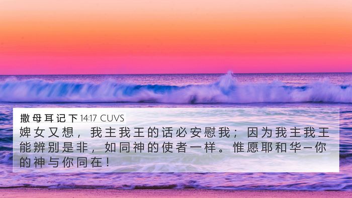 撒 母 耳 记 下 14:17 CUVS Bible Verse Image