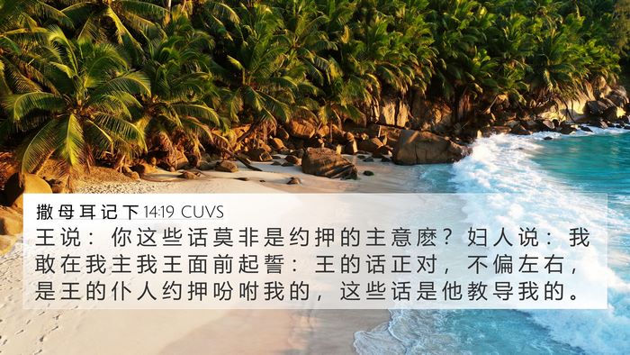撒 母 耳 记 下 14:19 CUVS Bible Verse Image