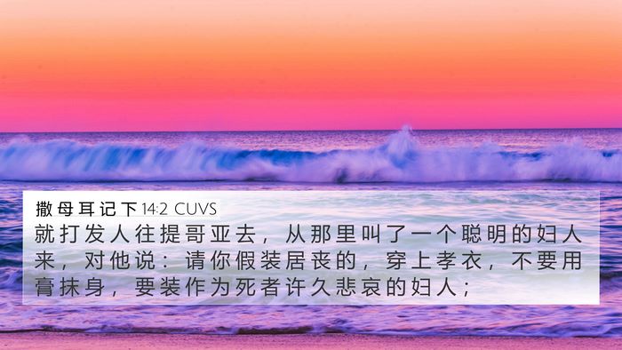 撒 母 耳 记 下 14:2 CUVS Bible Verse Image