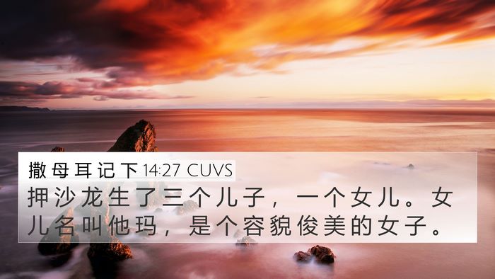 撒 母 耳 记 下 14:27 CUVS Bible Verse Image