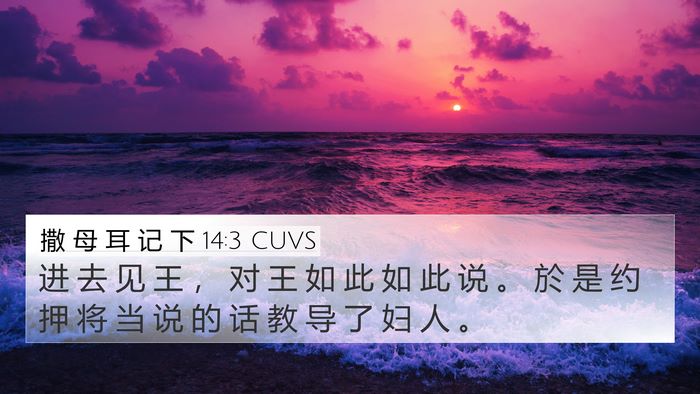 撒 母 耳 记 下 14:3 CUVS 4K Wallpaper - 进 去 见 王 ， 对 王 如 此 如 此 说 - 4K Wallpaper Bible Verse