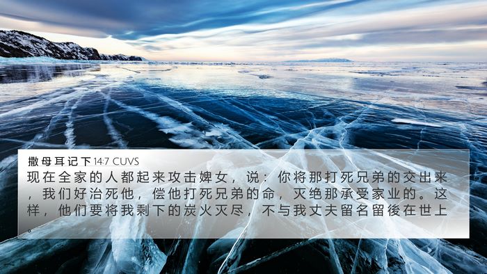 撒 母 耳 记 下 14:7 CUVS 4K Wallpaper - 现 在 全 家 的 人 都 起 来 攻 击 婢 - 4K Wallpaper Bible Verse